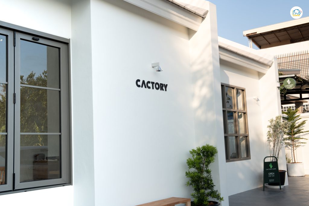 banner Cactory 5