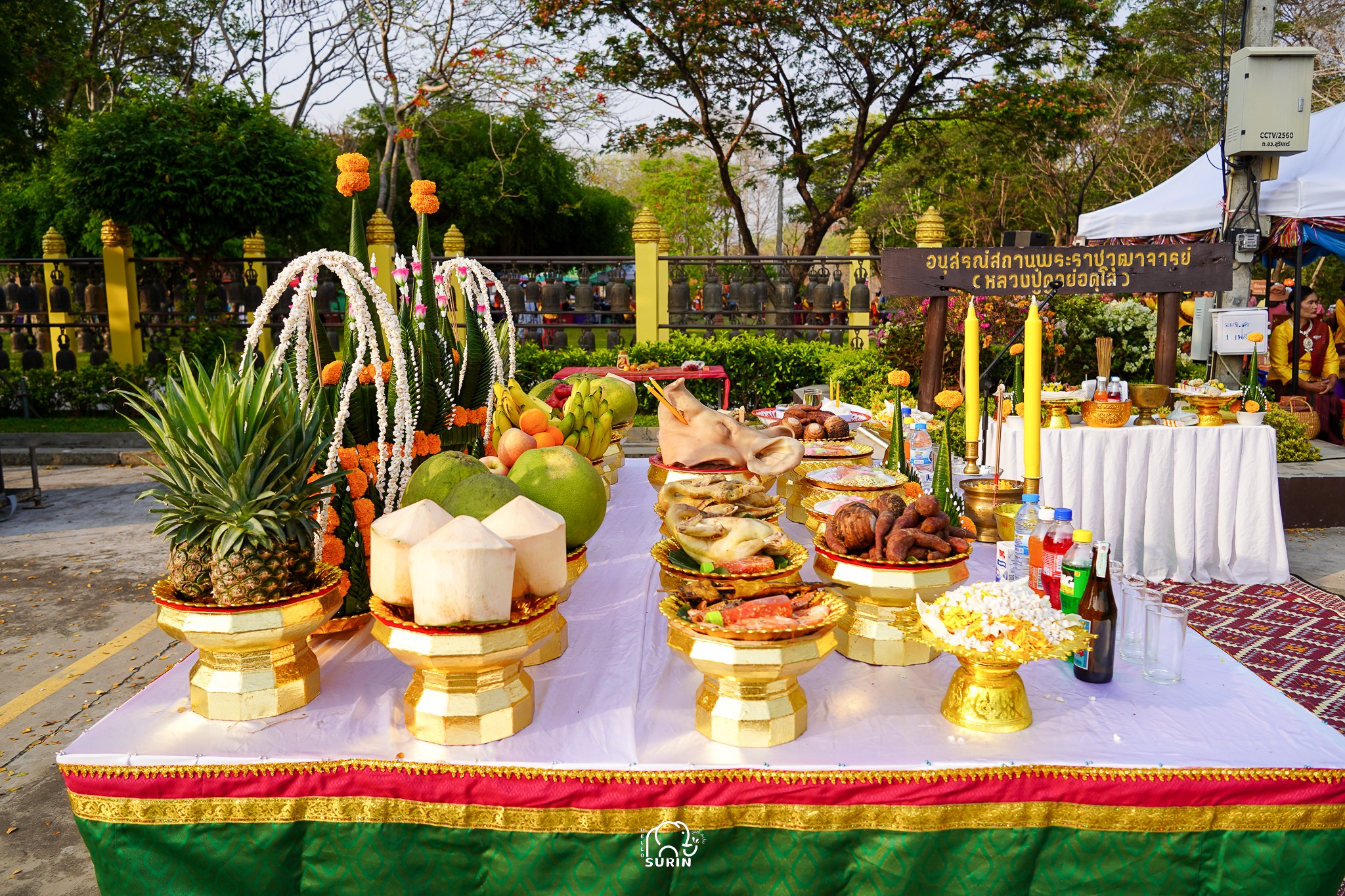 ภาพบรรยากาศประเพณีขึ้นเขาสวาย ประจำปี 2568 จังหวัดสุรินทร์