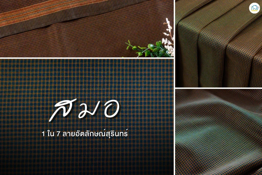 ลายสมอ - 4