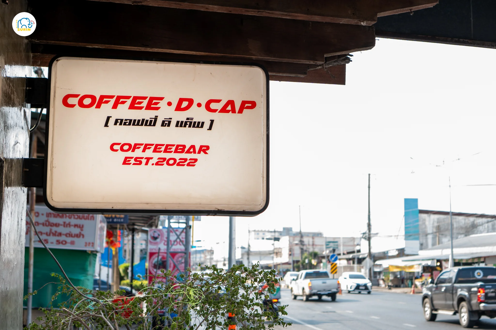 Coffee.D.Cap-3