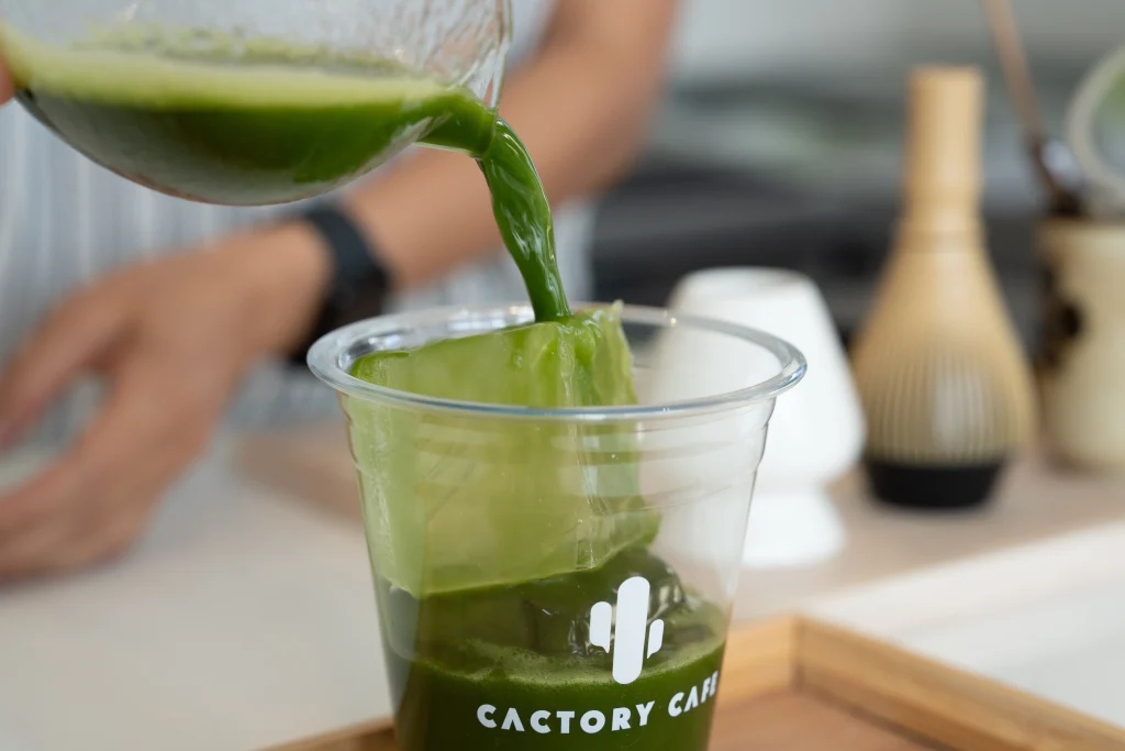 cactory-38