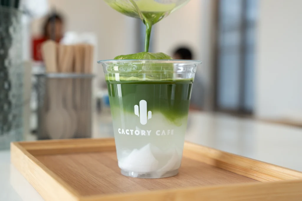 cactory-40
