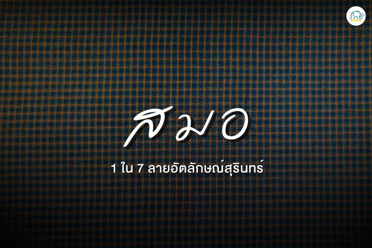 banner ลายสมอ