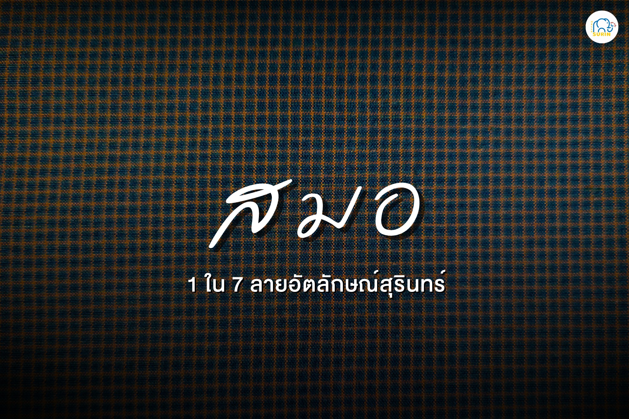 banner ลายสมอ