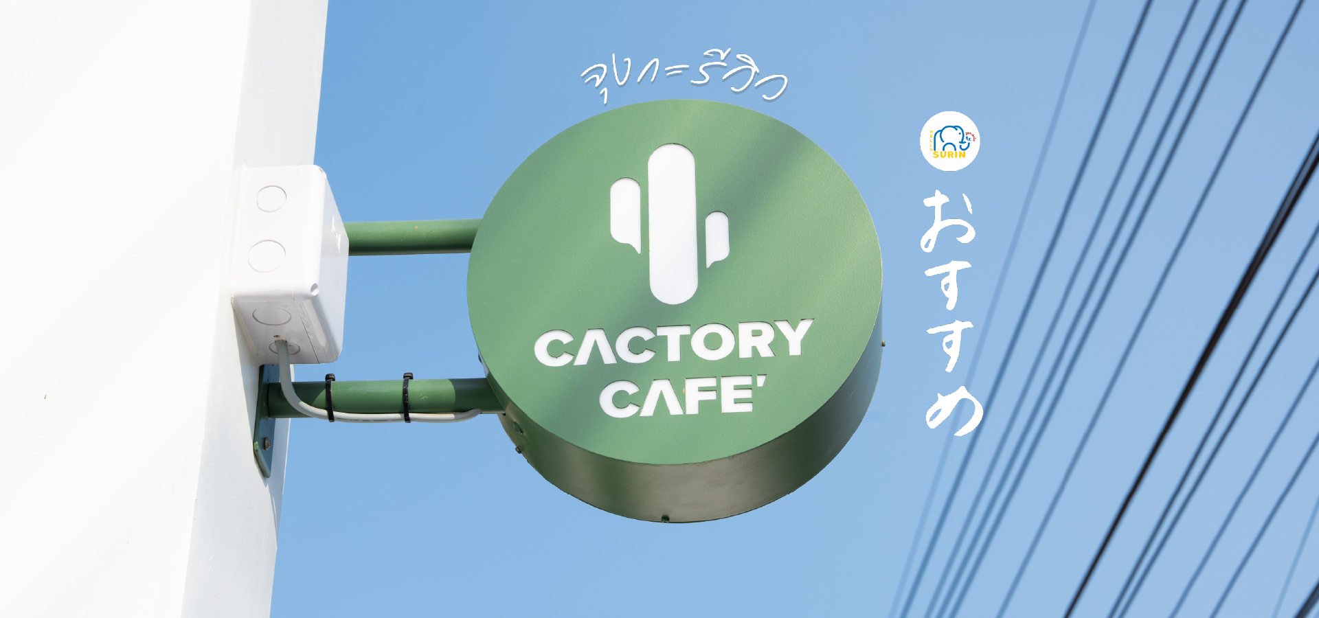 banner cactory