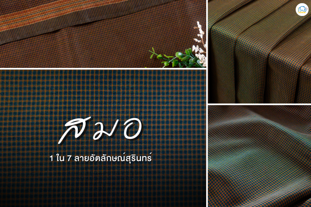 banner ลายสมอ