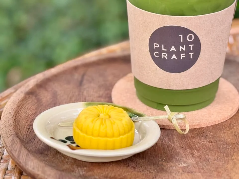 10 Plant Craft-10