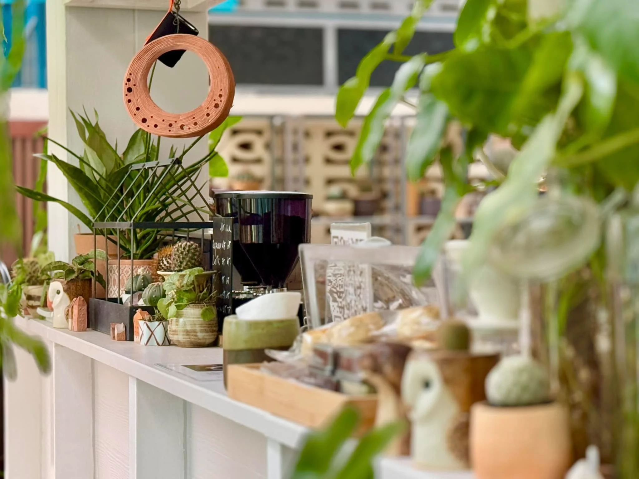 10 Plant Craft-11