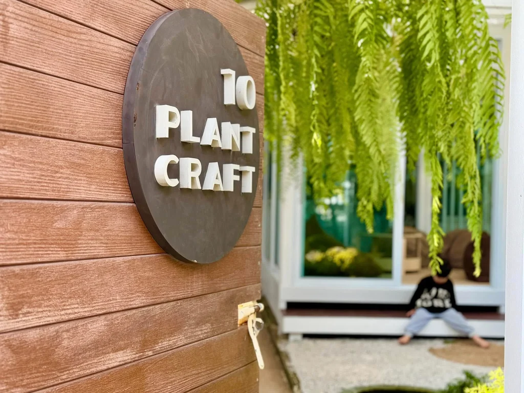 10 Plant Craft-19