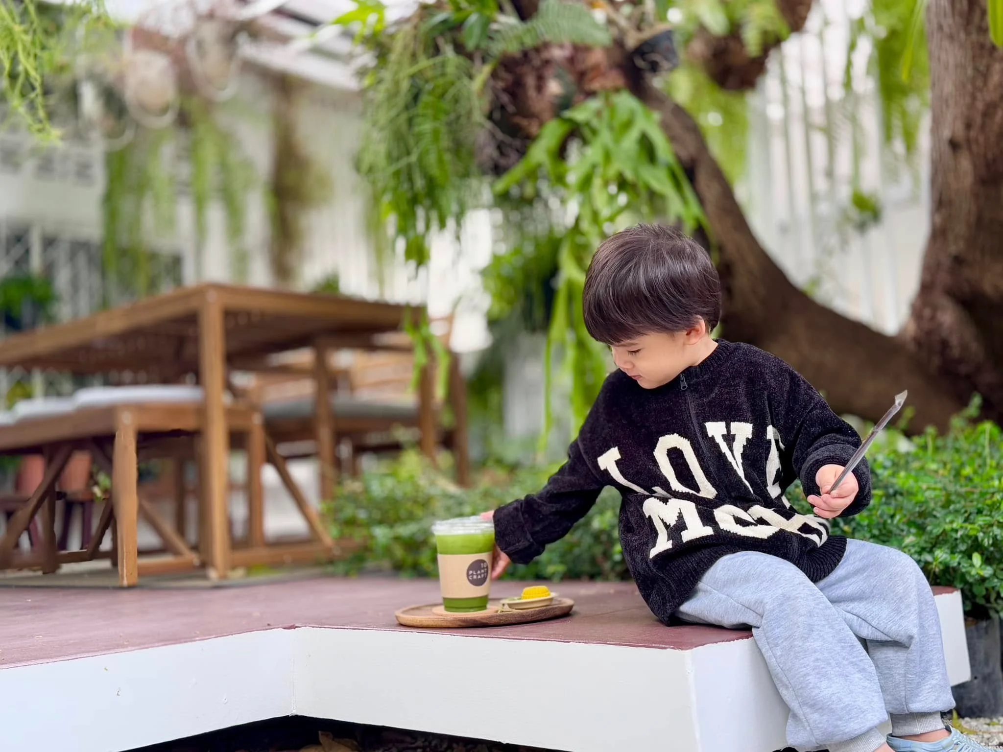 10 Plant Craft-20