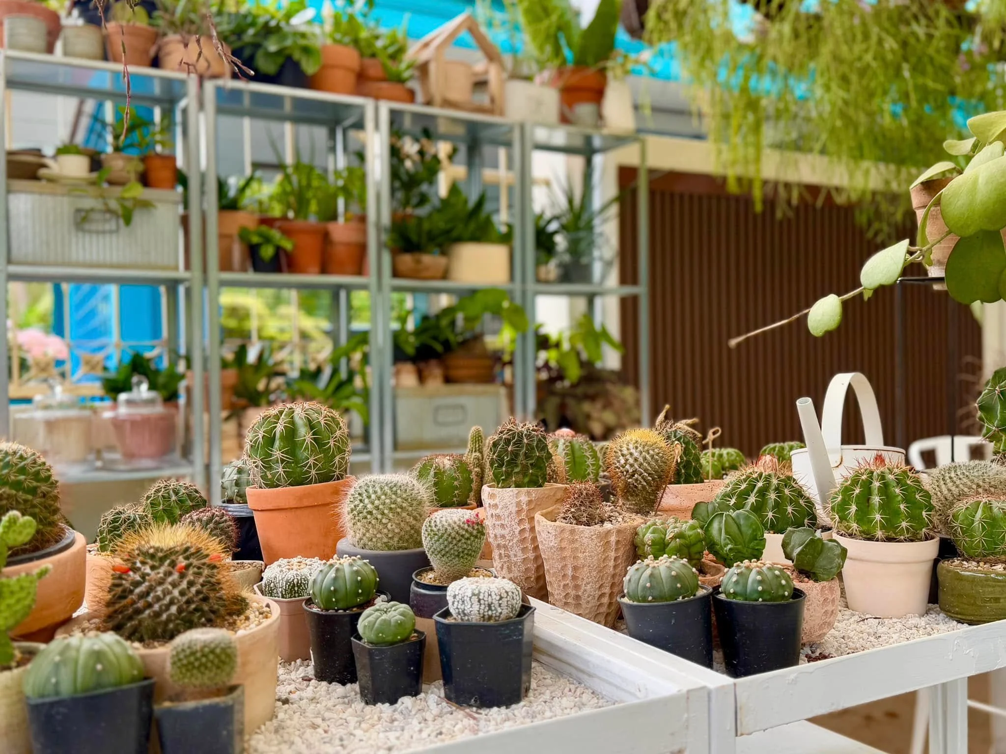 10 Plant Craft-23