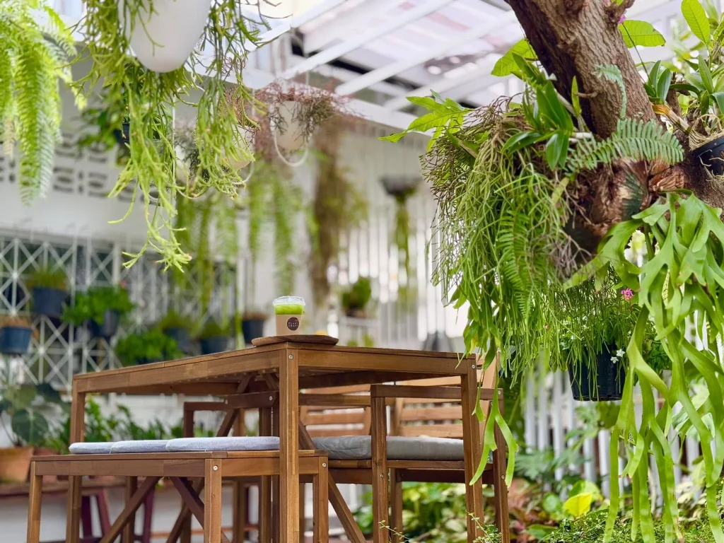 10 Plant Craft-24