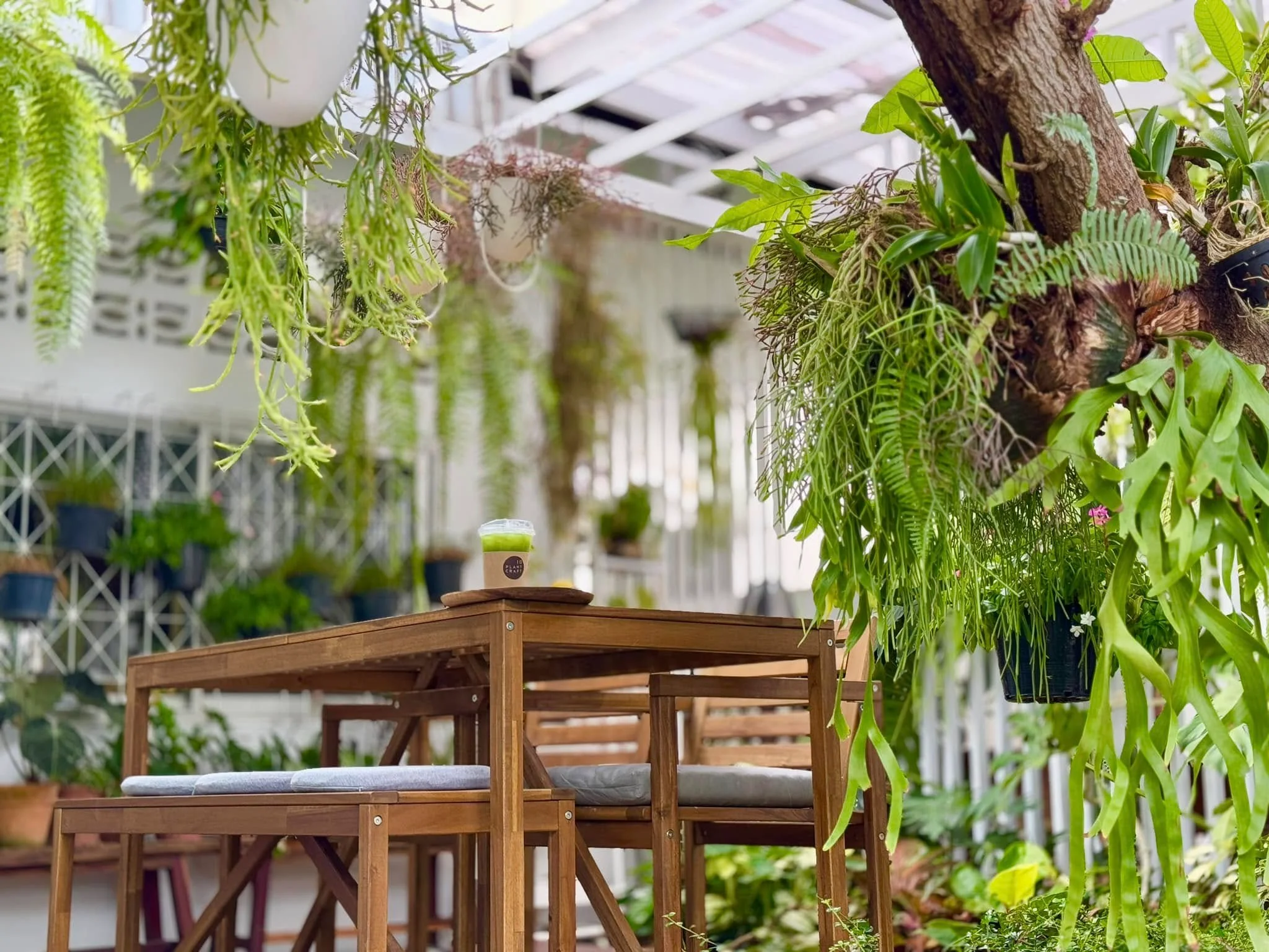 10 Plant Craft-24
