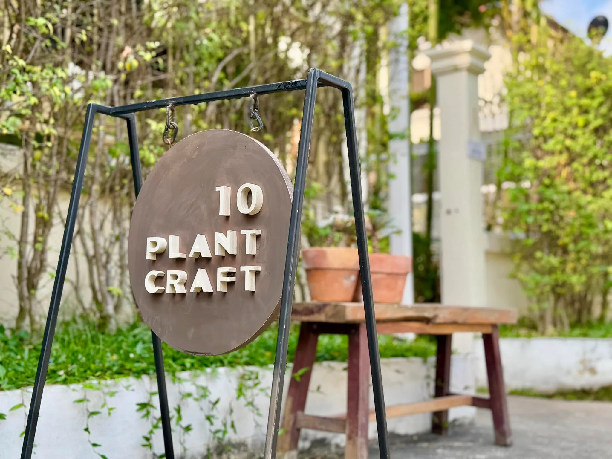 10 Plant Craft-25