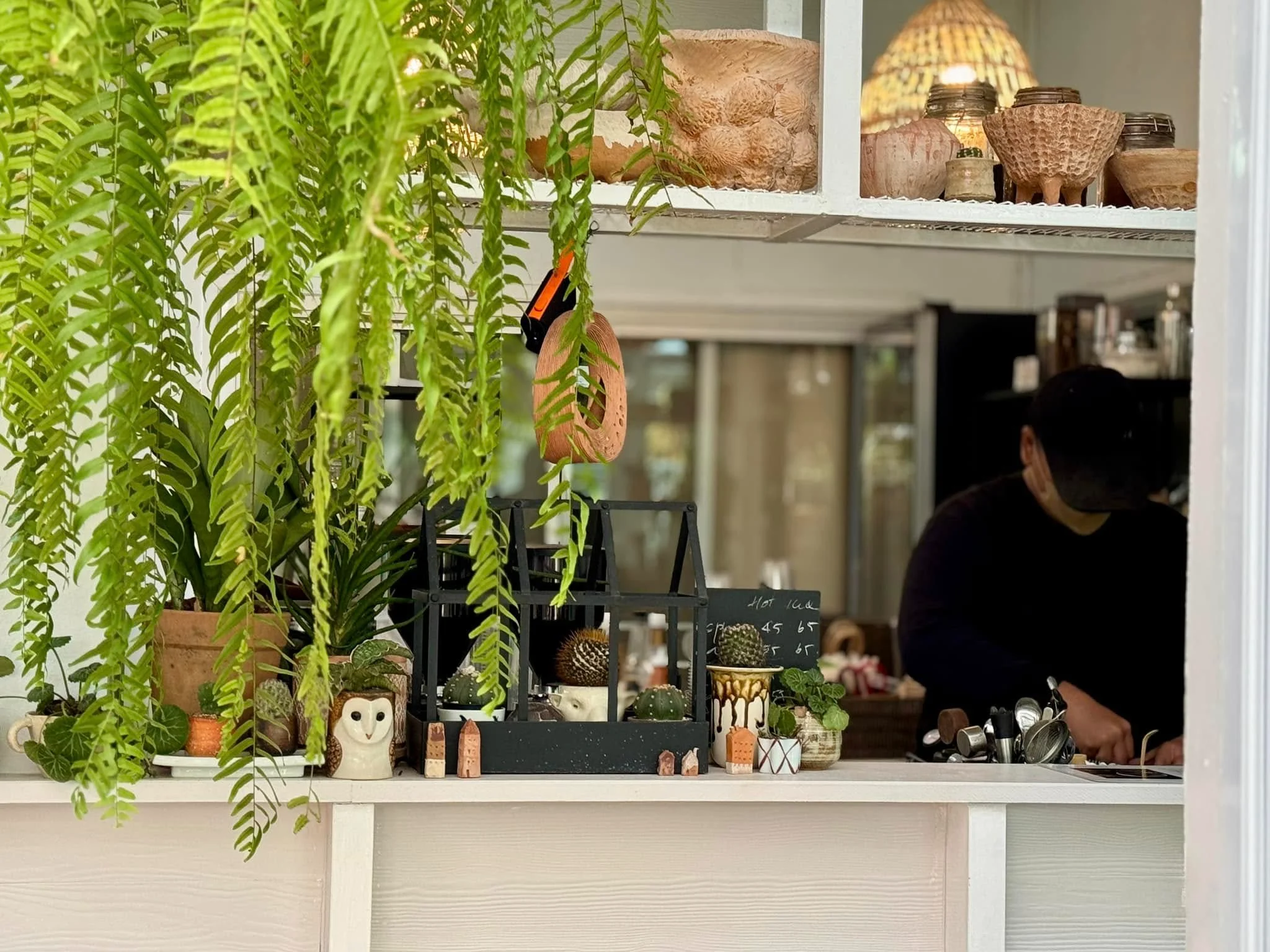 10 Plant Craft-27