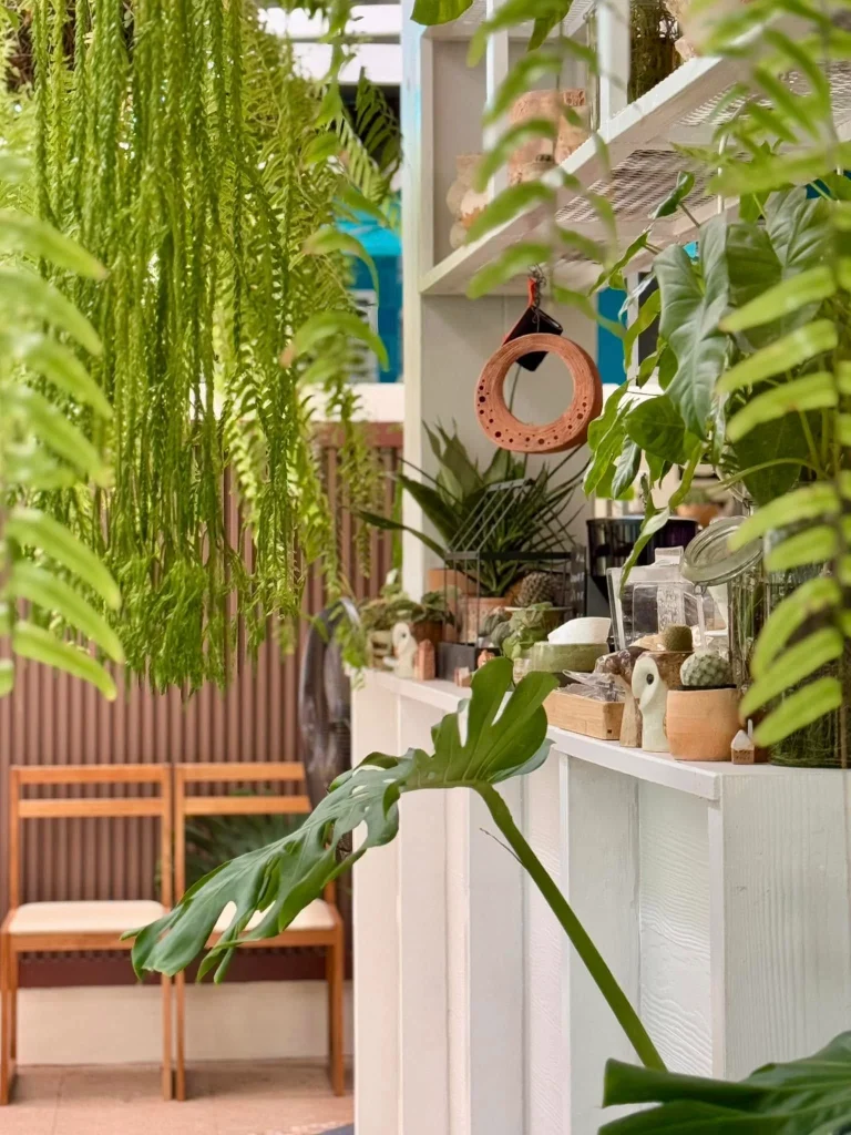 10 Plant Craft-4