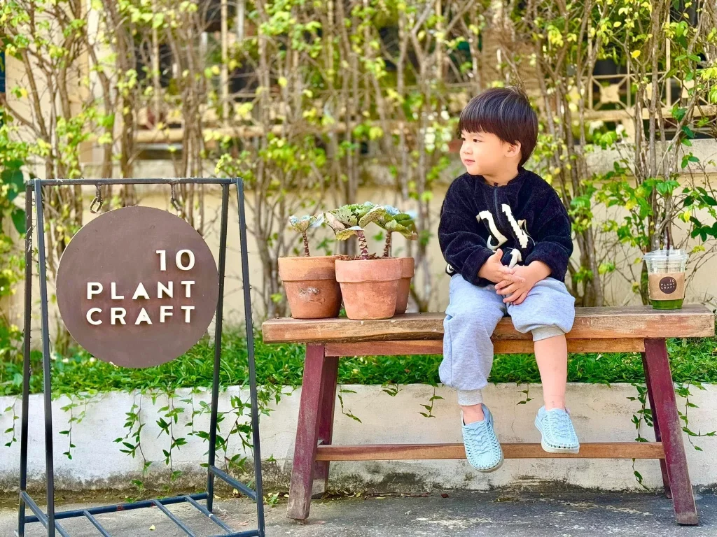 10 Plant Craft-9