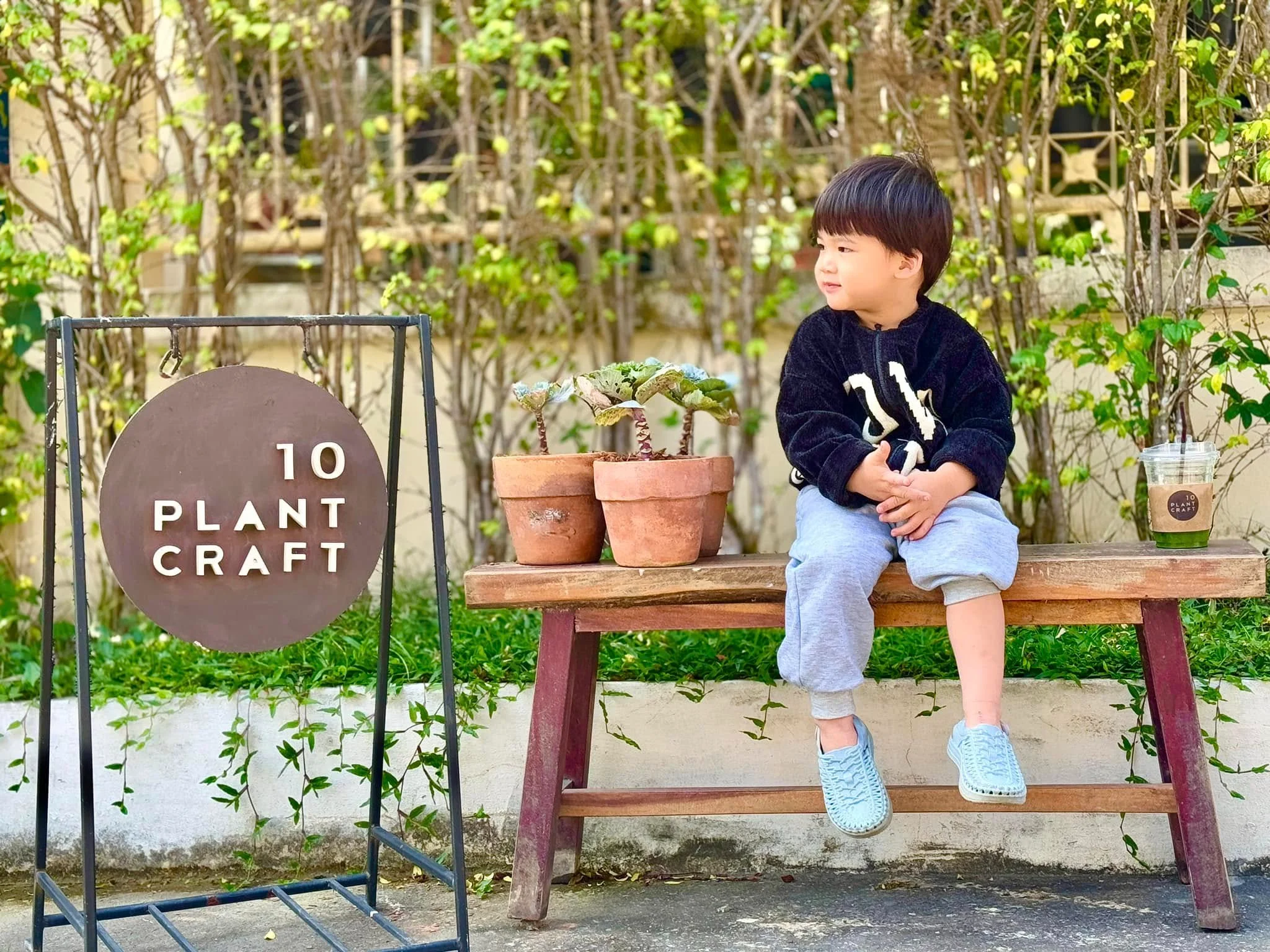 10 Plant Craft-9