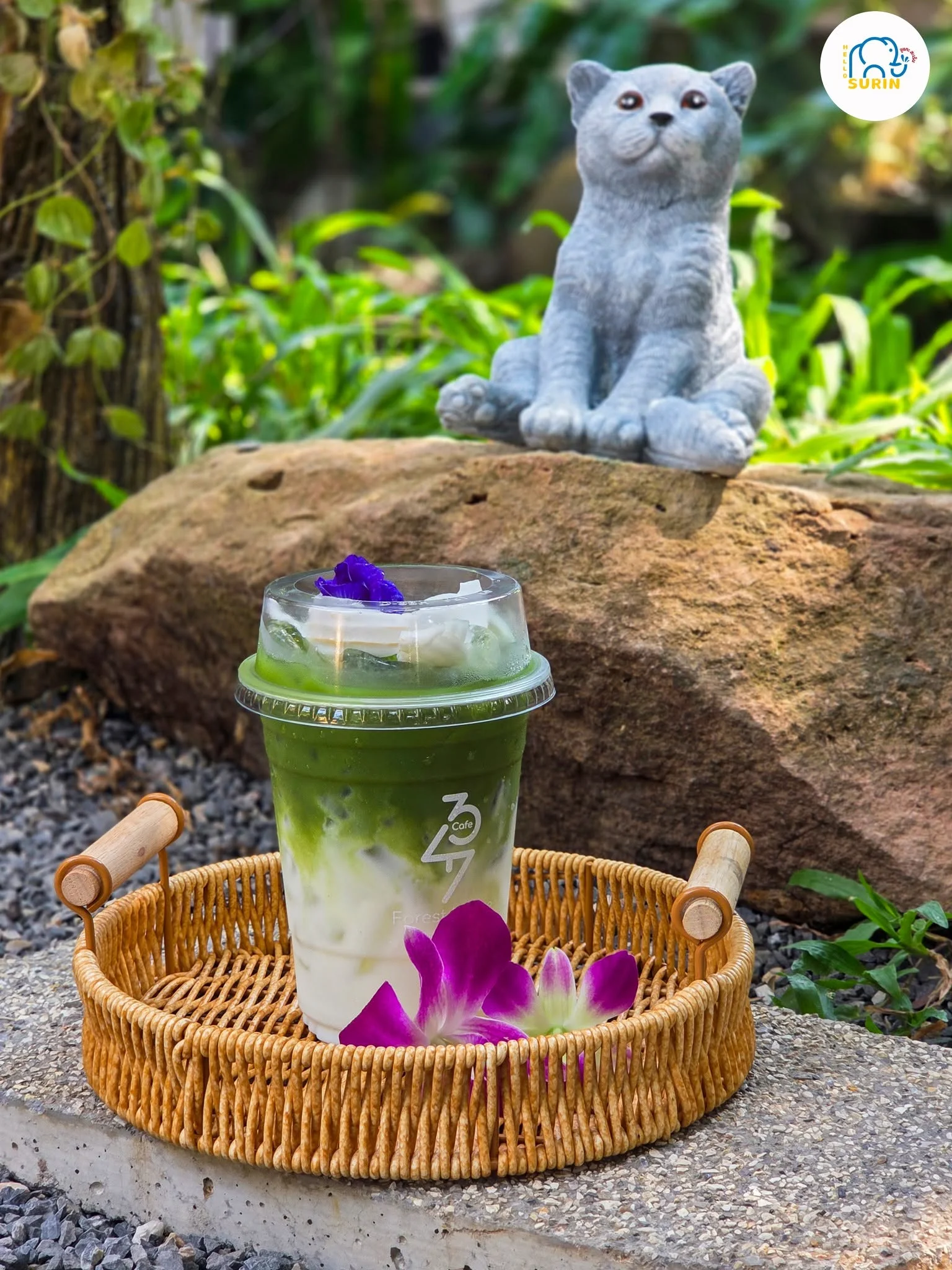 347 Forest House Cafe-1