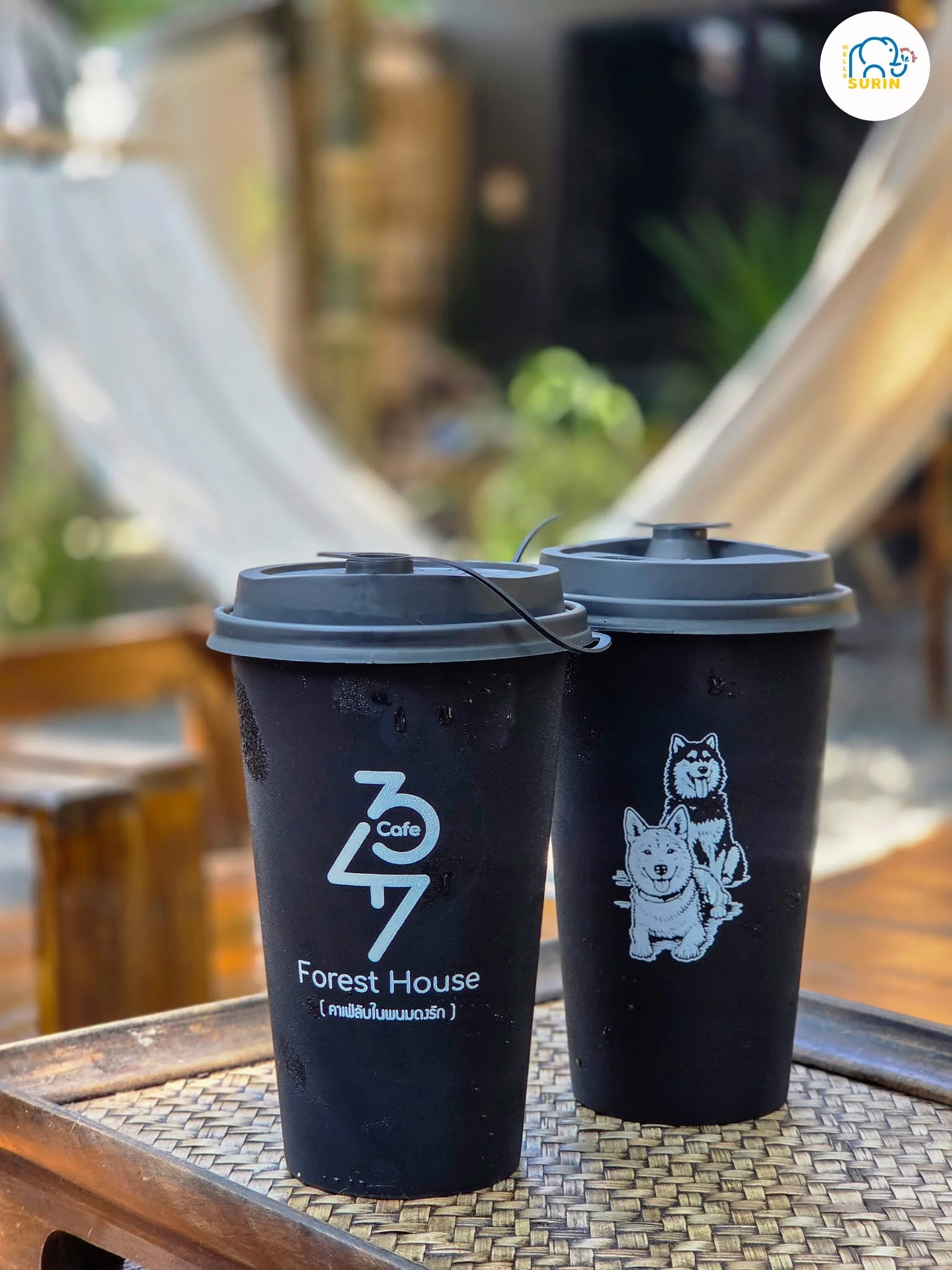 347 Forest House Cafe-16
