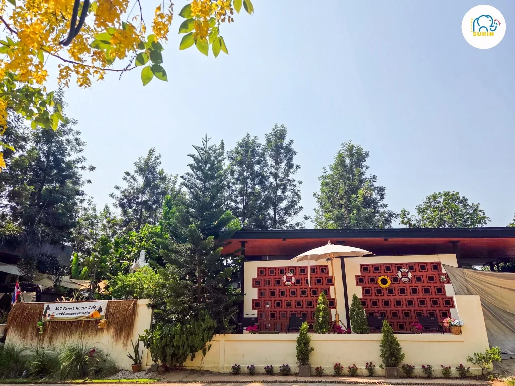 347 Forest House Cafe-18