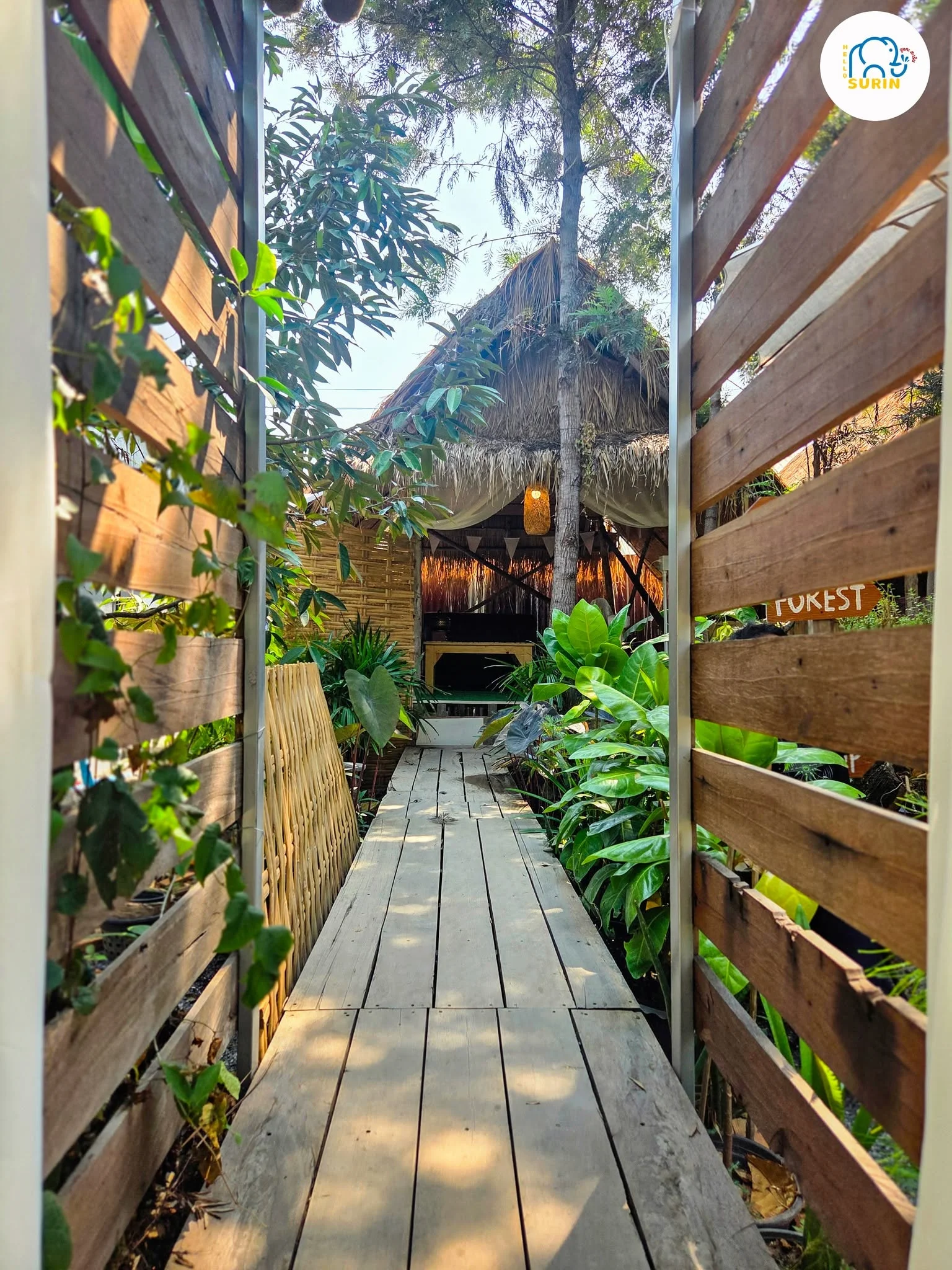 347 Forest House Cafe-19