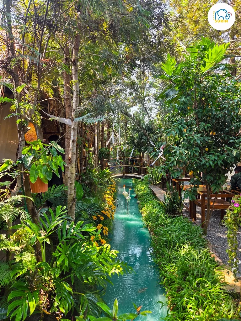 347 Forest House Cafe-21