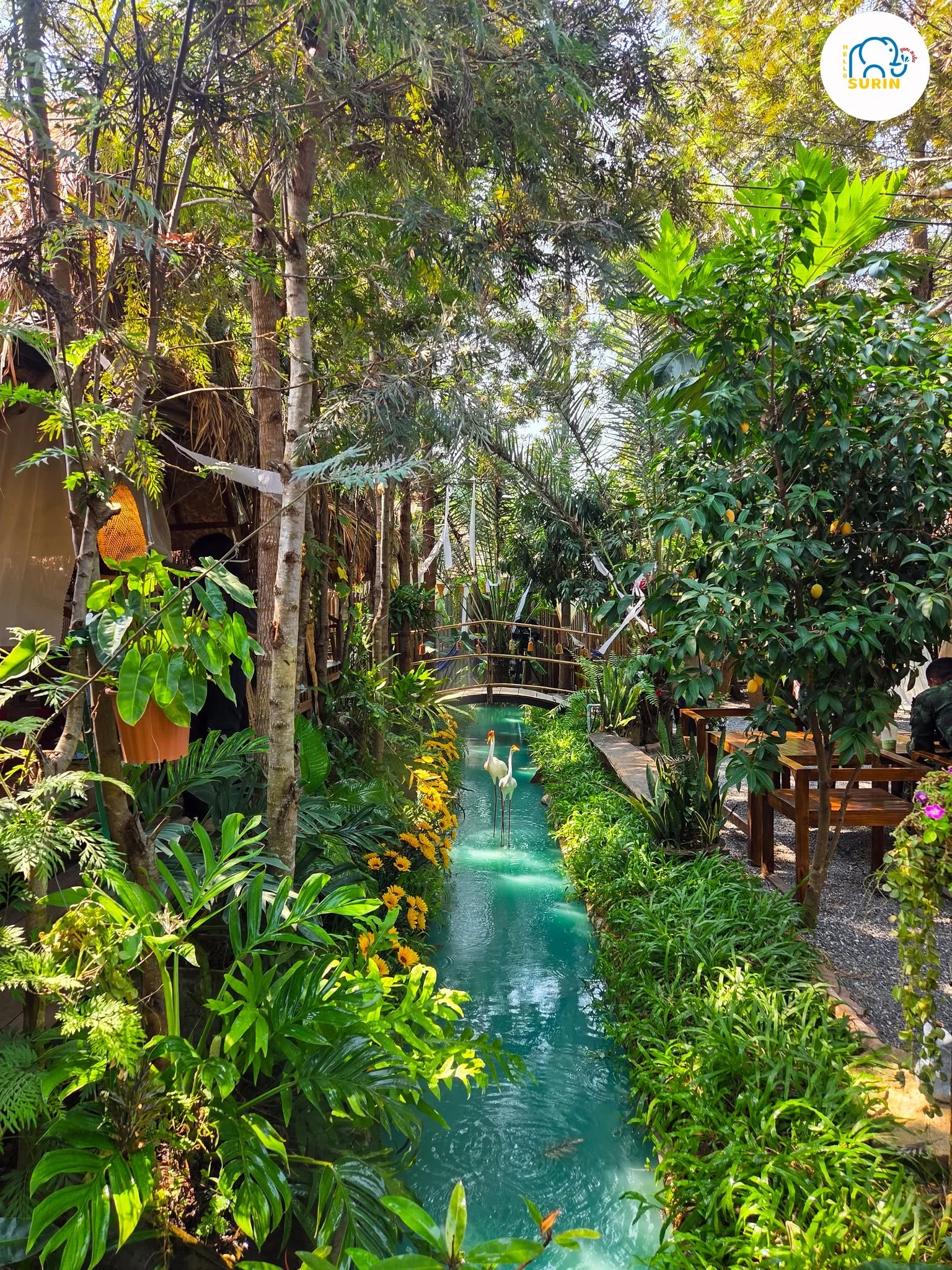 347 Forest House Cafe-21