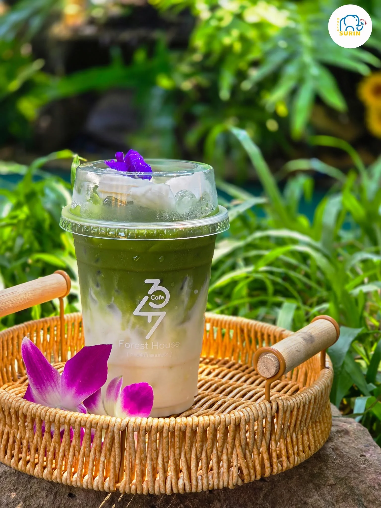 347 Forest House Cafe-23