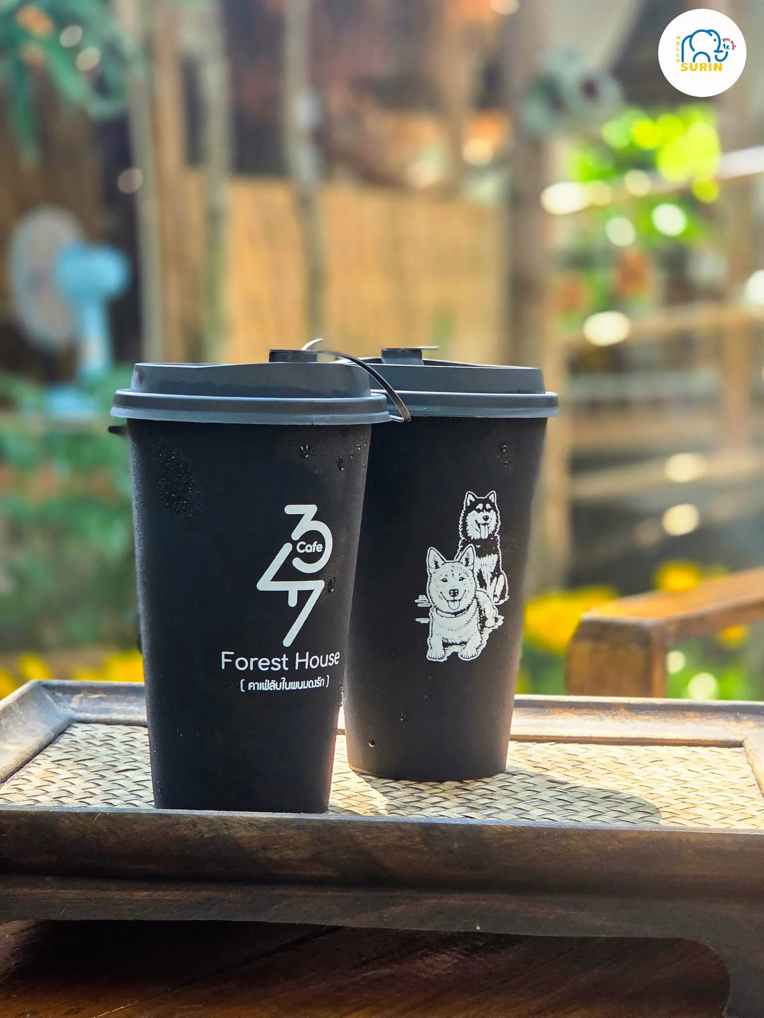 347 Forest House Cafe-24