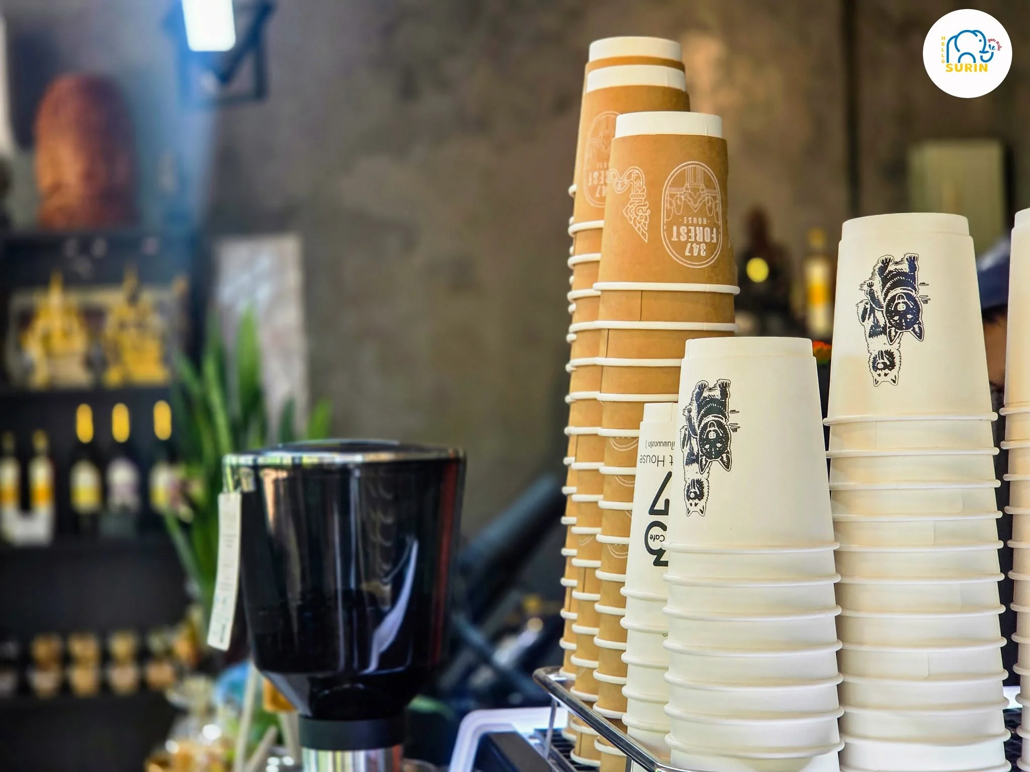 347 Forest House Cafe-3