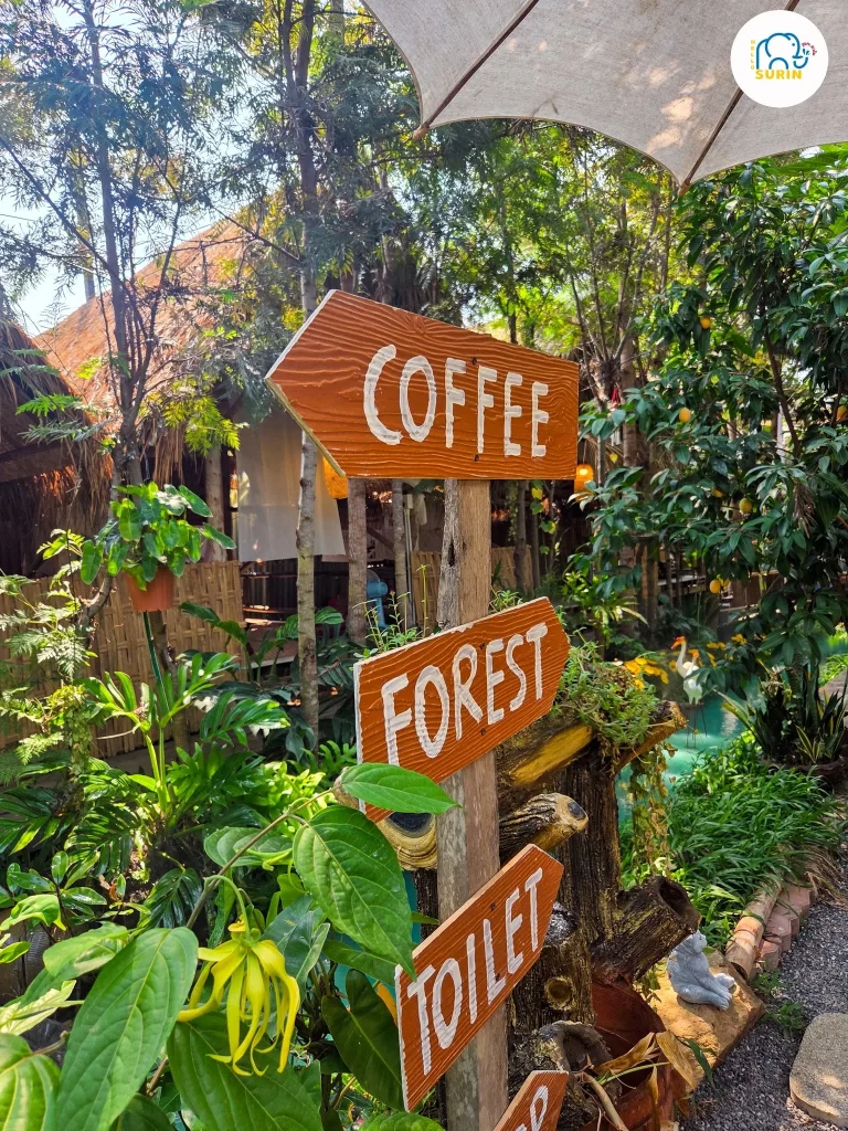 347 Forest House Cafe-6