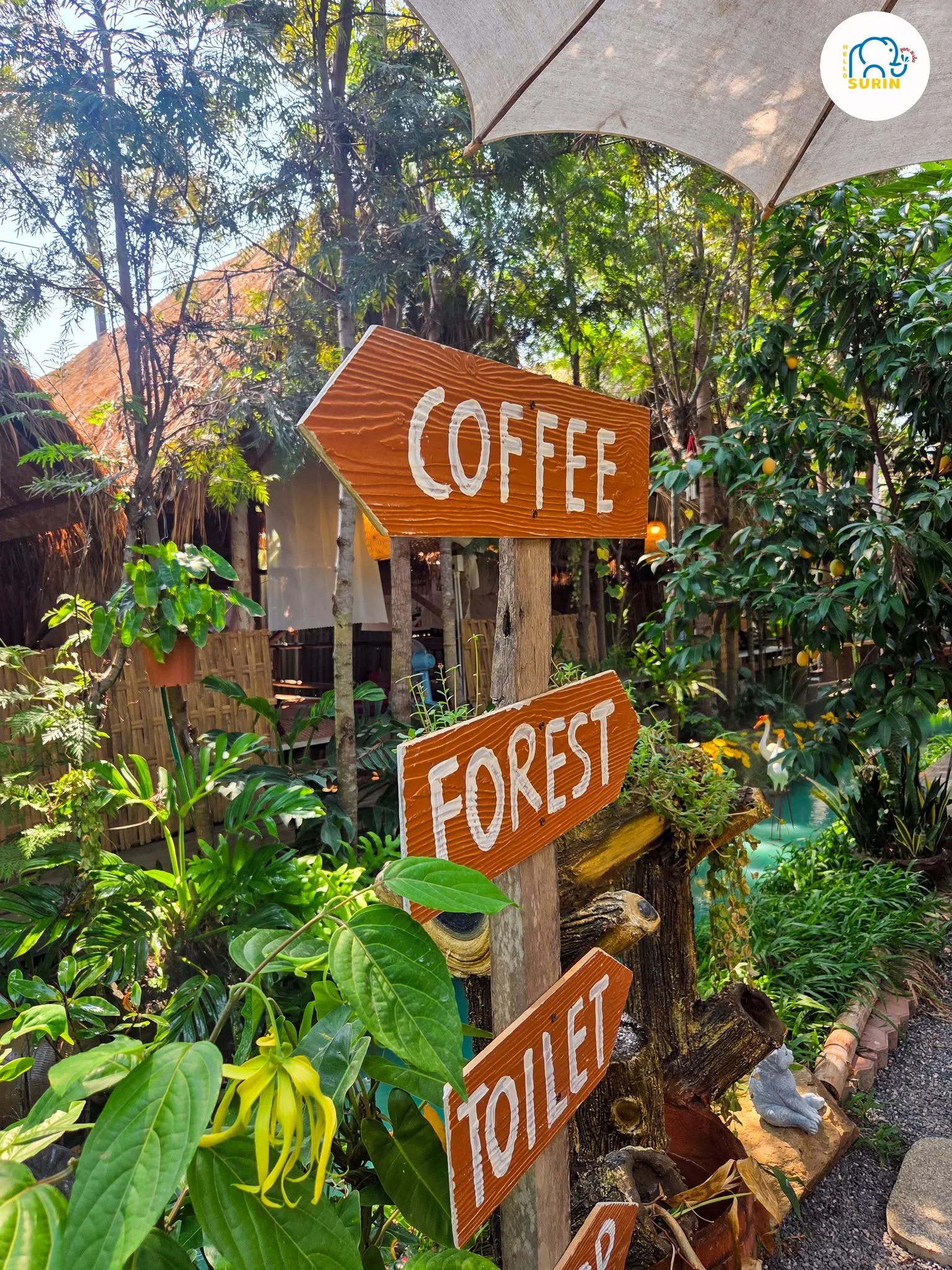 347 Forest House Cafe-6