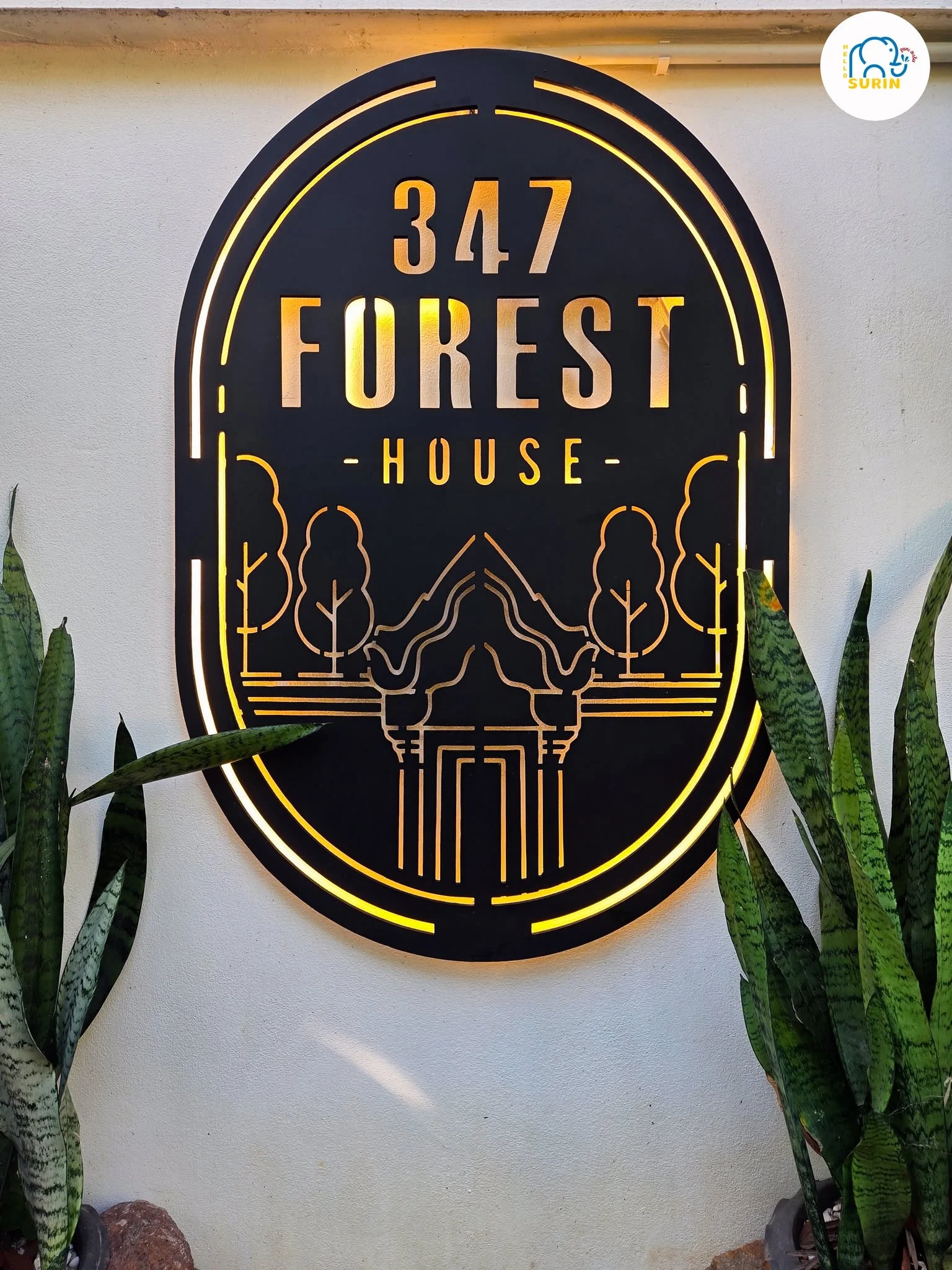 347 Forest House Cafe-7
