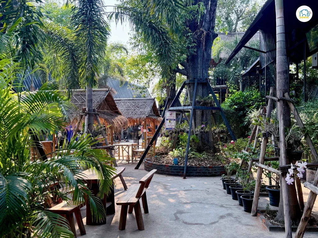 Amore Coffee Surin-10