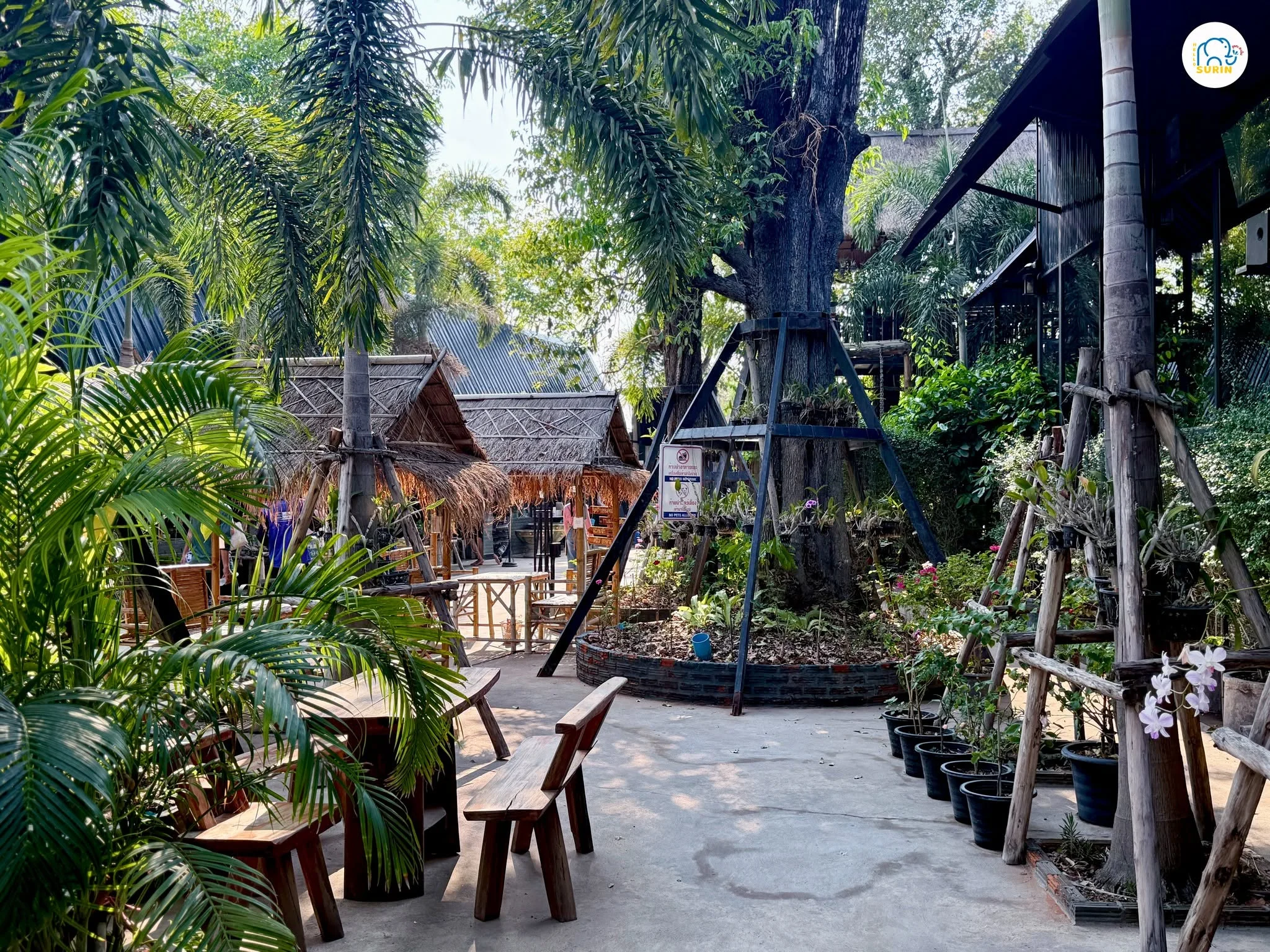 Amore Coffee Surin-10