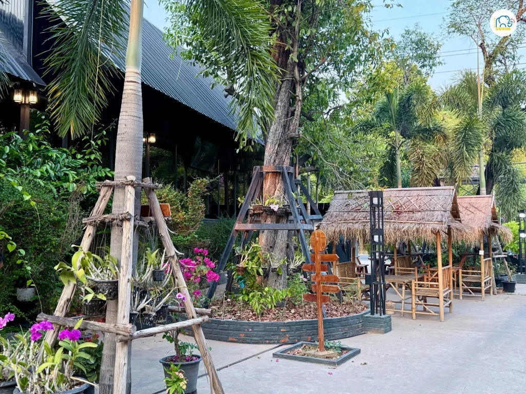 Amore Coffee Surin-9