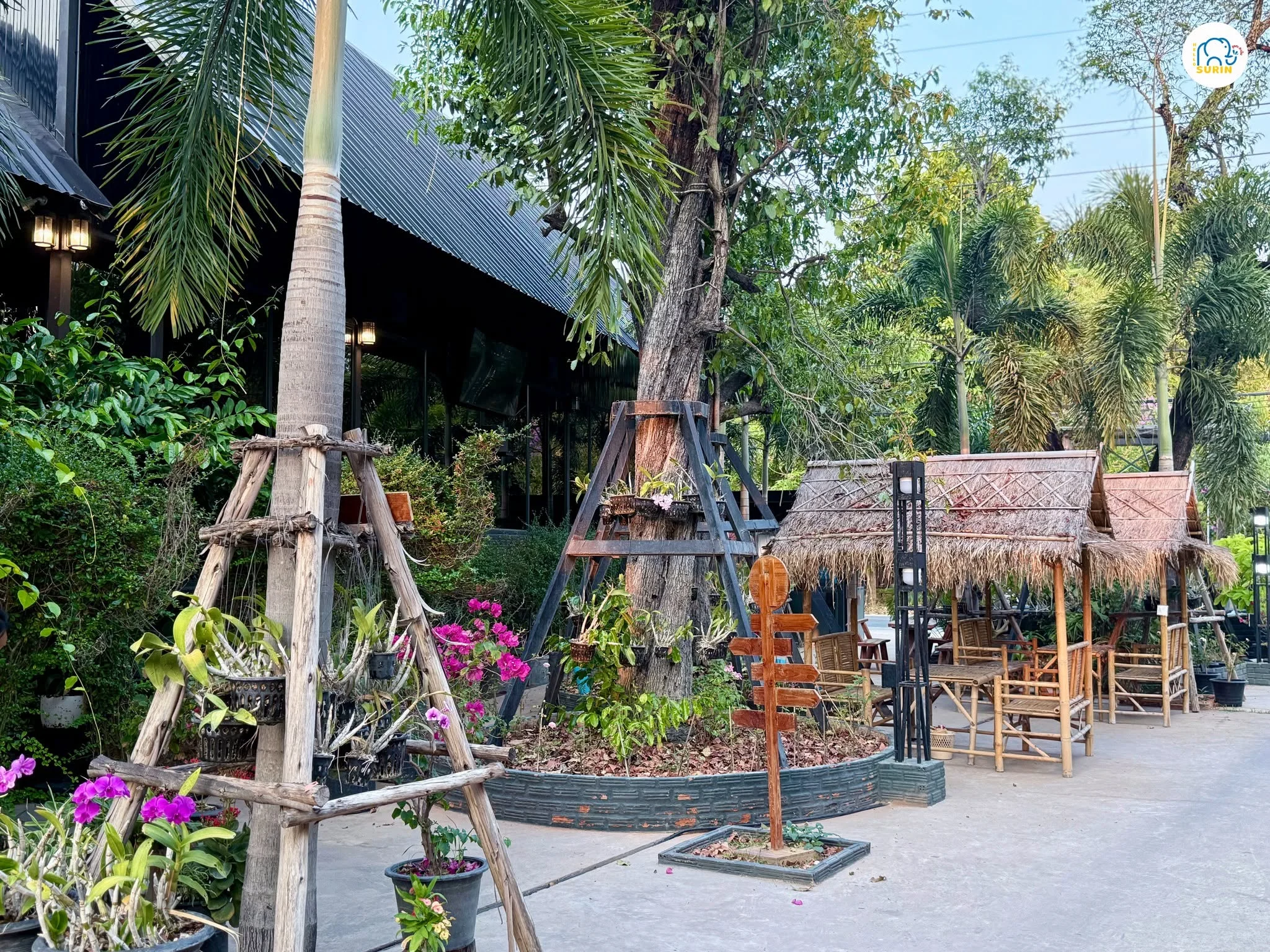 Amore Coffee Surin-9