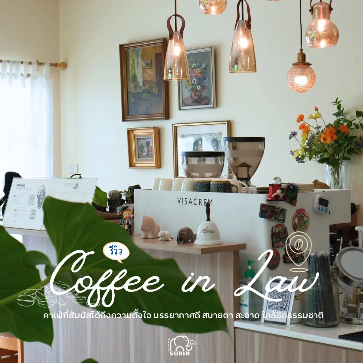 COFFEE in LAW-14