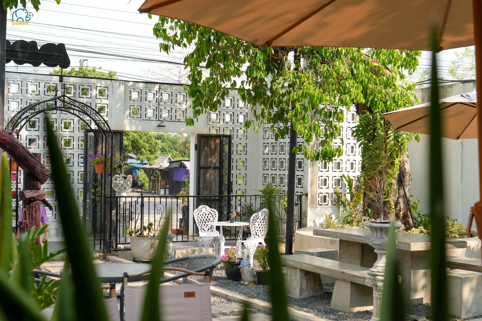 Every Cafe’ สุรินทร์-49