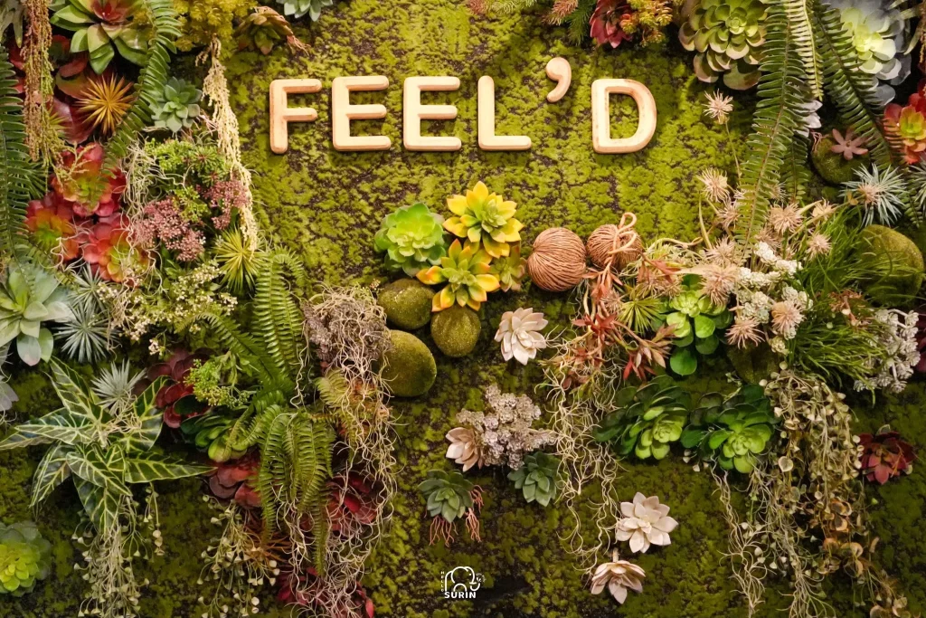 Feel'D Organic-2