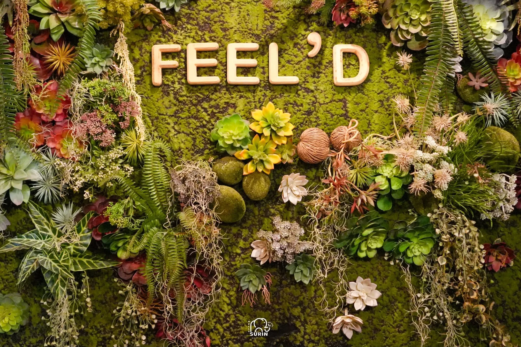 Feel'D Organic-2