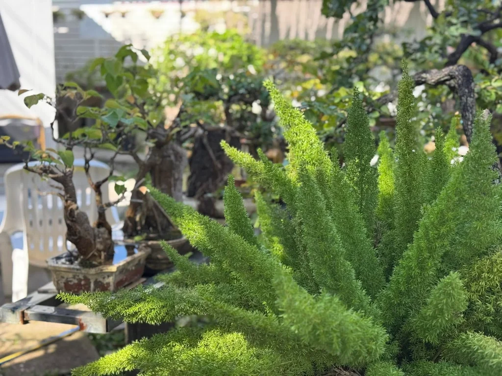 Garden House-1