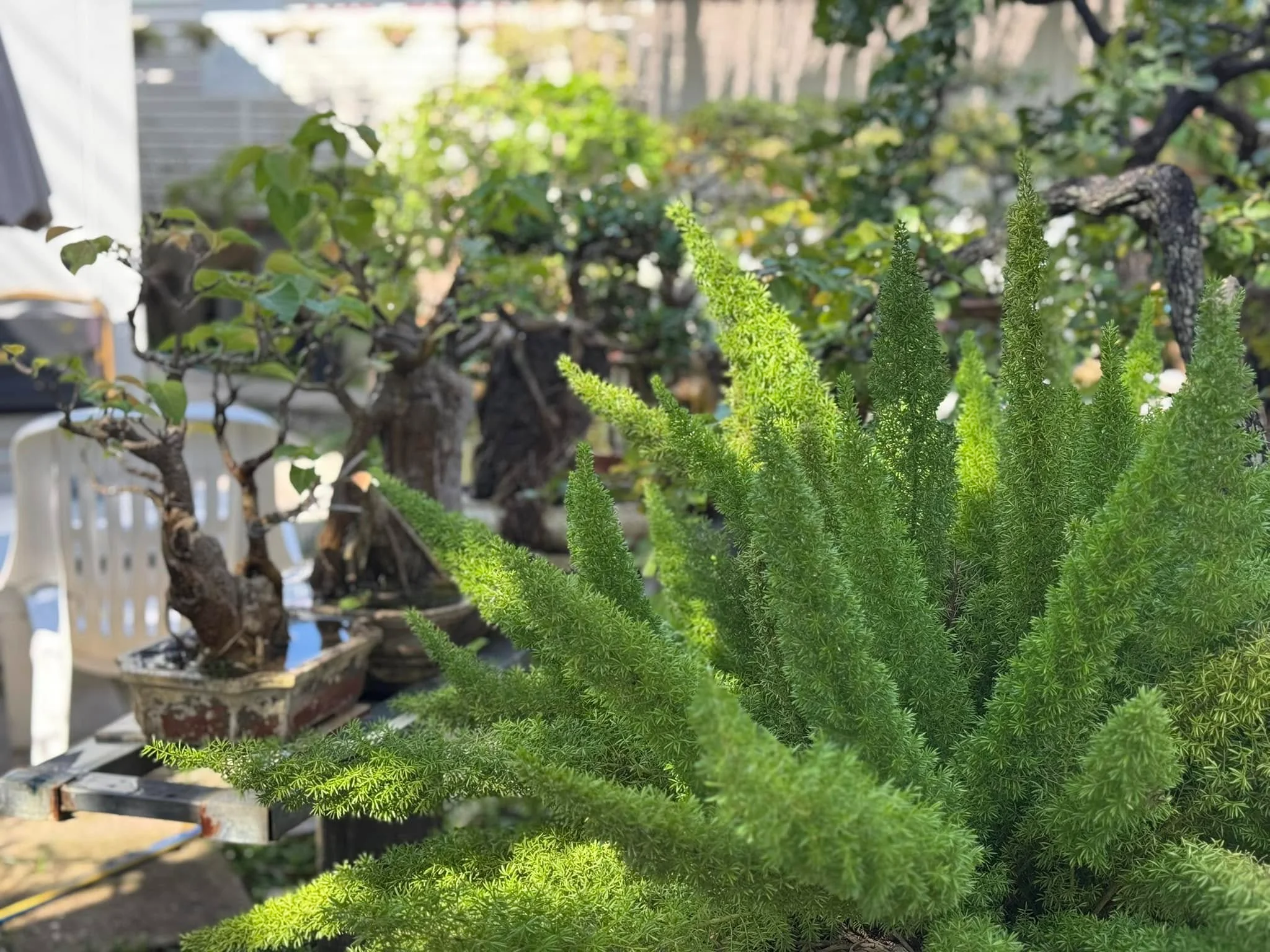 Garden House-1