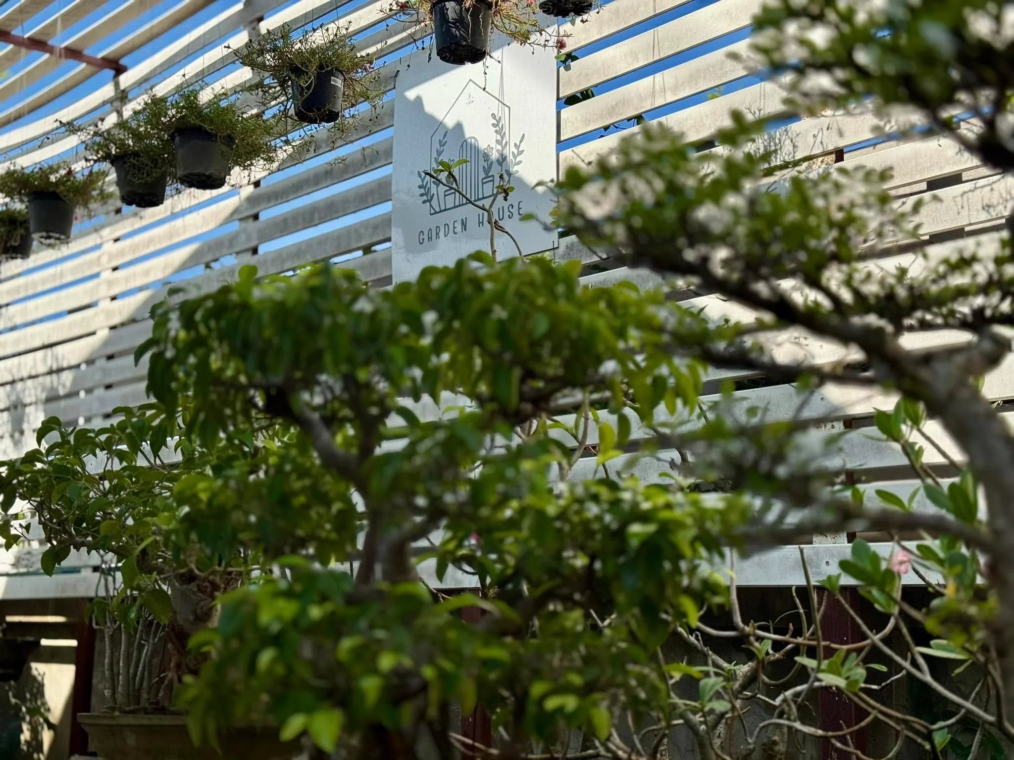 Garden House-4
