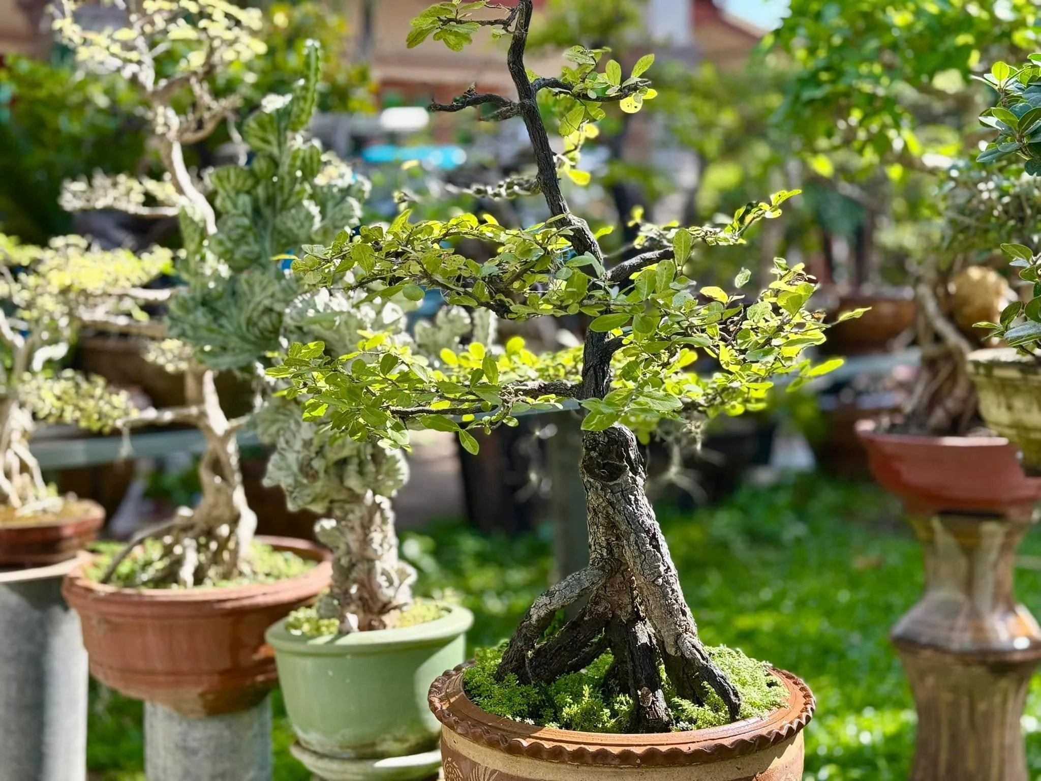 Garden House-5
