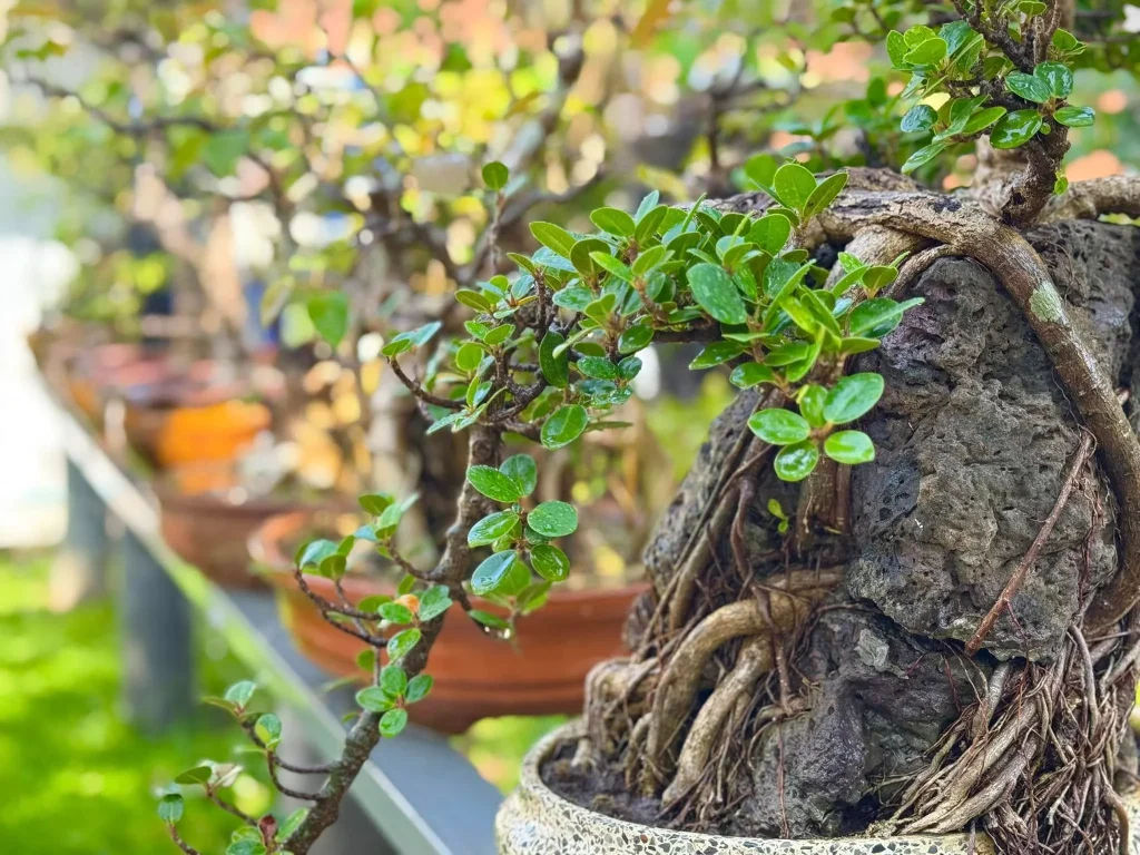 Garden House-7
