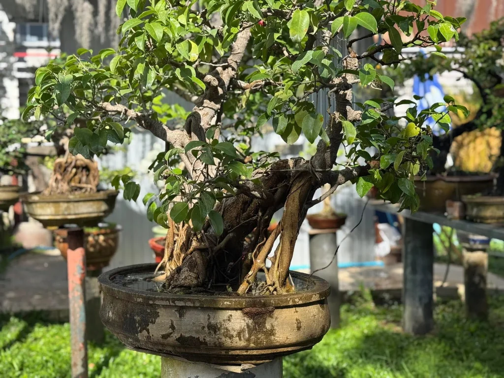 Garden House-9