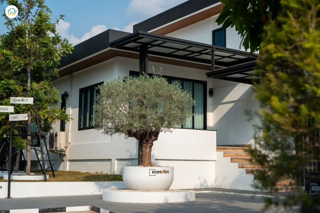Hideout Resort & Cafe-2