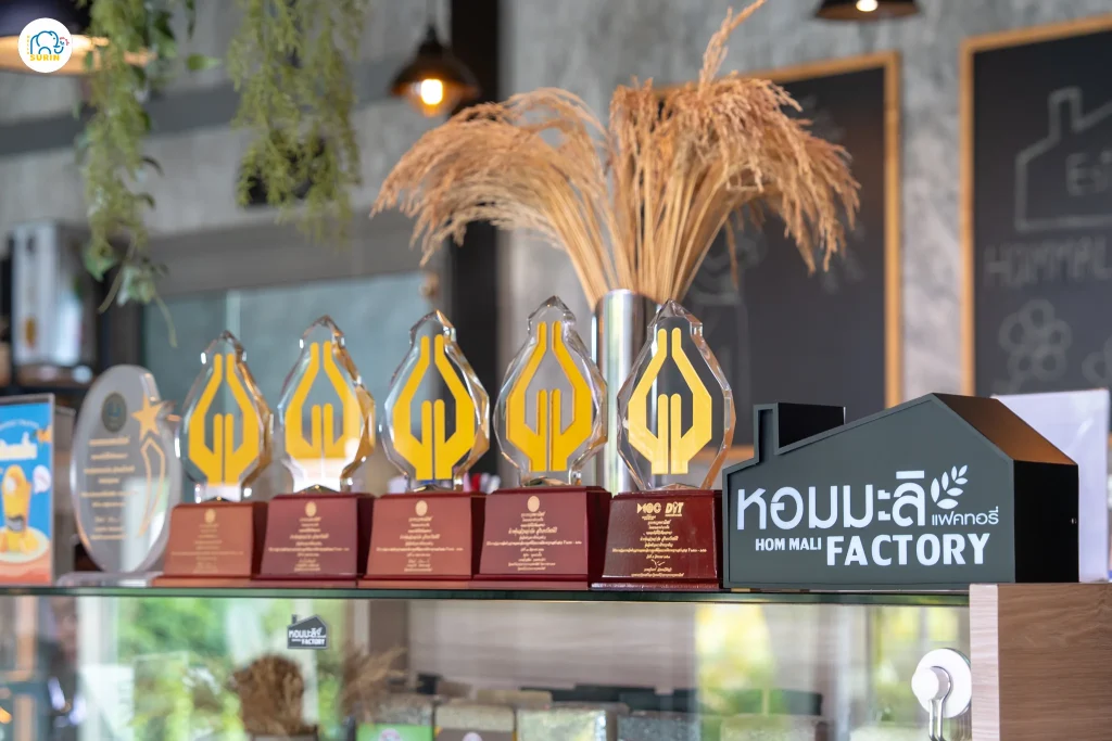 Hommali Factory-7